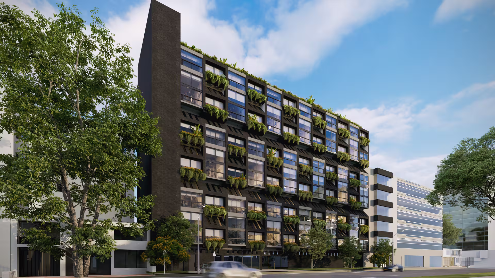 Castellana — imagen 2