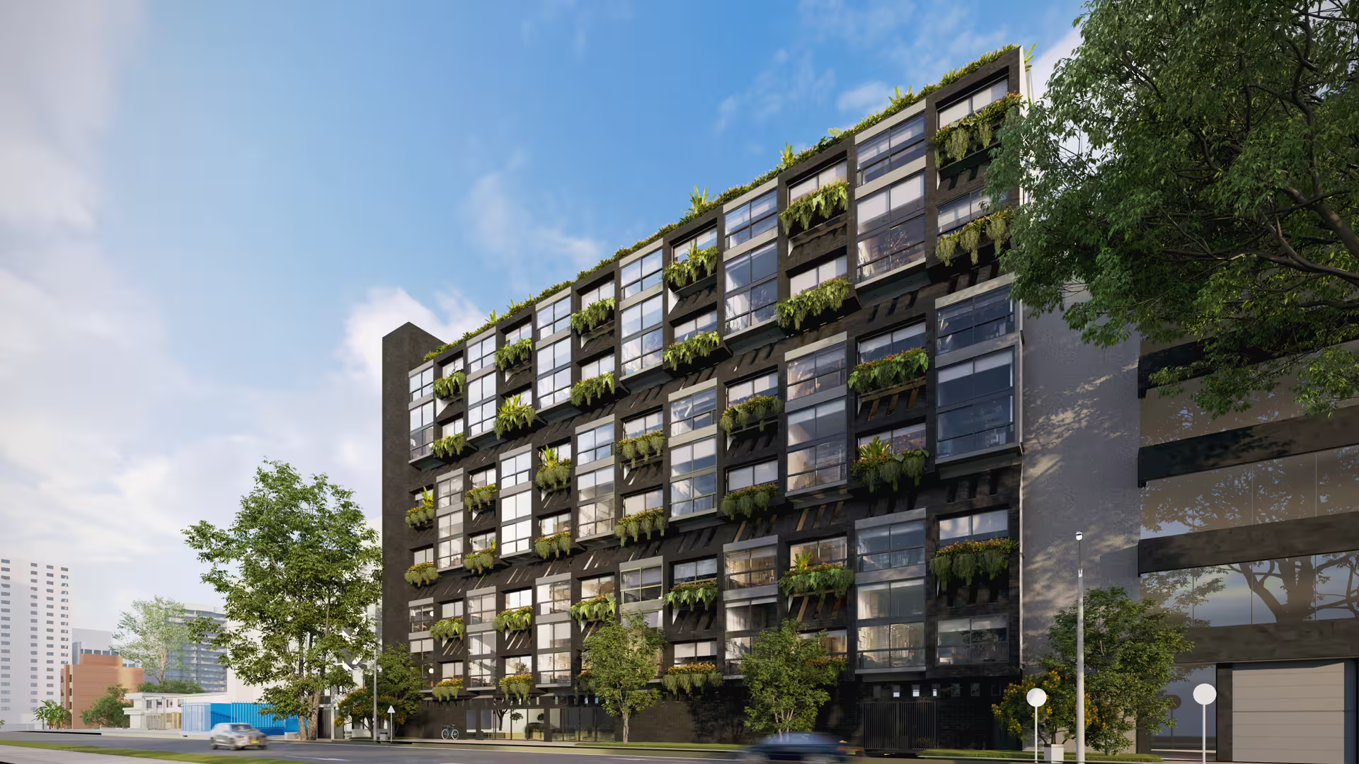 Castellana — imagen 3