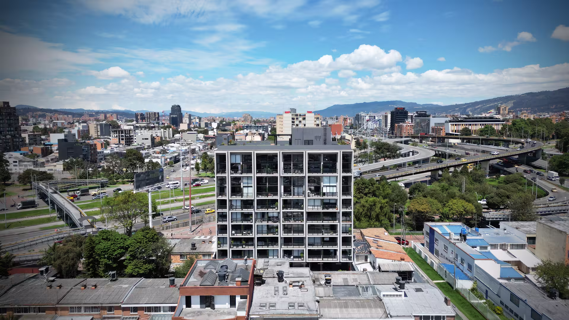 Polo — imagen 3